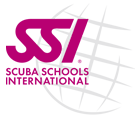 Logo Ssi2011